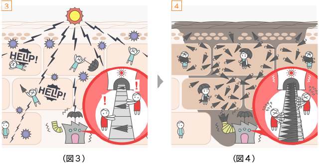 しみが出来るしくみ