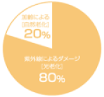 エンビロンを始めたい方へ